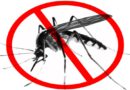 2ος Κύκλος Καταπολέμησης των κουνουπιών στο Δήμο Μεταμόρφωσης