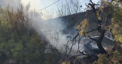 Φωτιά στη Σαλαμίνα: Δύο νεκροί, καμένα σπίτια και 593 απεγκλωβισμοί δια θαλάσσης