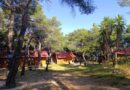 Δήμος Νέας Ιωνίας: Εκκενώθηκε προληπτικά η κατασκήνωση στο Αλεποχώρι